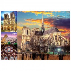 Puzzle Collage de Notre Dame 1000pzs