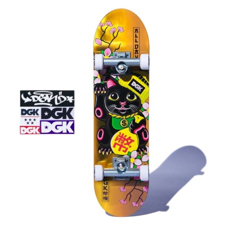 Set monopatin Handboard DGK Tech Deck