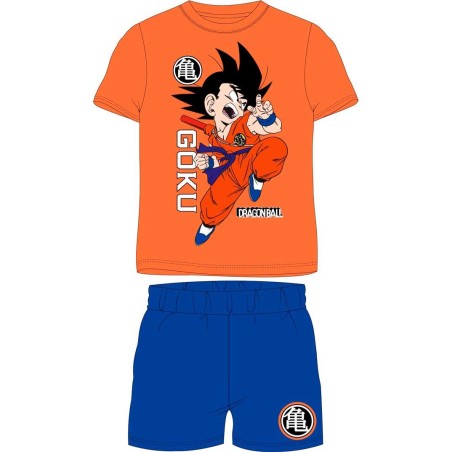 Conjunto Dragon Ball